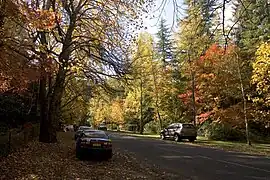 Autumn in the Blue Mountains, New South Wales.