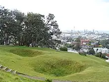 Kumara pits from when the hill was a Māori pā .