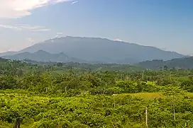 Mount Mantalingajan as seen from Ransang, Rizal