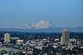 UW Tower with Mount Baker in the background