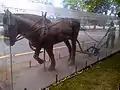 Statue of horse and farmer at Mountain View Manor