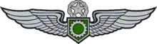 Army Aviation Enlisted Aircrew's Badge (Master)