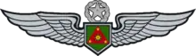 Army Aviation Pilot's Badge (Master)