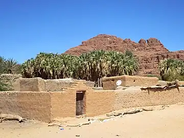 Example of an arid pastoral-oasis agricultural system in Fada, Chad