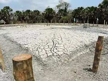 Mud Volcano of Baratang Island