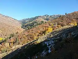 Mueller Park Trail a popular hiking trail located in Bountiful,Utah