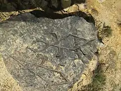 Muisca petroglyphs