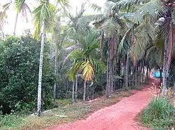 Varam village