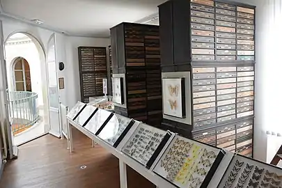 Abot's Entomology Gallery, Muséum d'Angers