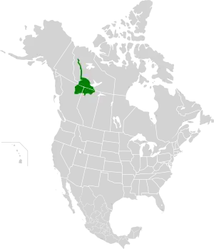 Ecoregion territory (in green)