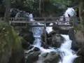 Footbridge over the Myra Falls