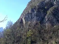 Rocky walls ending in a cave, practically overgrown with vegetation.