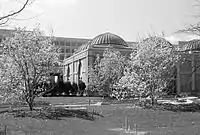 NMAfA and Haupt Garden in the Spring