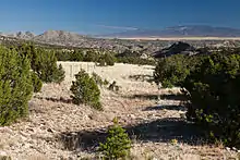 A color picture of some foothills with mountains in the background