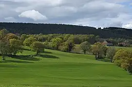 valley east of Noyant-d'Allier