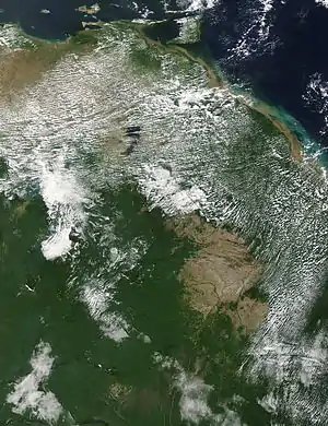 Image 2NASA satellite image of forest burning in Guyana (from Agriculture in Guyana)