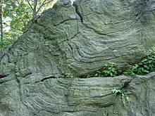 Manhattan schist outcropping in New York City's Central Park