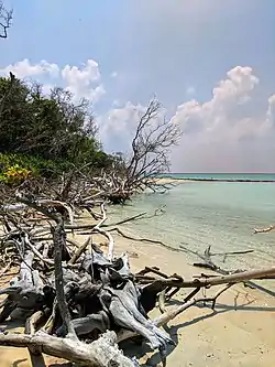 Beach, Naivaadhoo