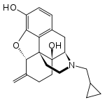 Chemical structure of Nalmefene.