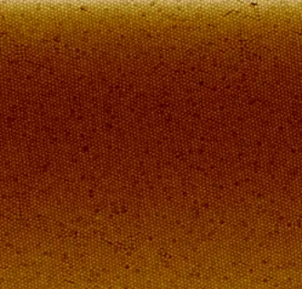 Polystyrene nanoparticle coating done with the Langmuir-Blodgett method