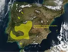 Distribution map of Narcissus jonquilla