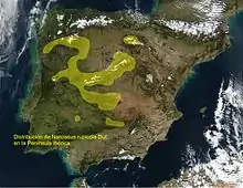 Distribution map of Narcissus rupicola