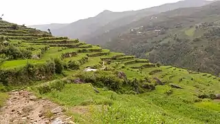 A bridle path towards Bindeshwar Mahadev temple