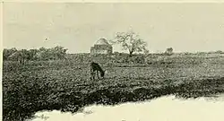 Maqam (shrine) of Neby Burk, in 1898