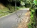 In Yangmingshan National Park, Taiwan