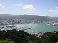 View of Wellington City from Mount Victoria