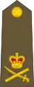 Lieutenant-general