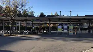 Canopy-covered platform