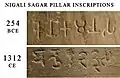 Nigali Sagar pillar inscriptions