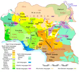 Image 20Map of the region's indigenous languages (from Cameroon)