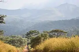 Border of the reserve (Gbakore)