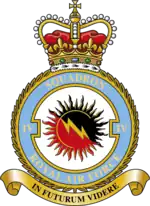 Squadron badge