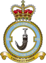 Squadron badge