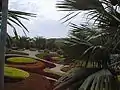 Decorative Landscaping at Nong Nooch Tropical Botanical Garden