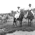 Brazilians, second generation after Japanese immigration (sanseis) in rural areas, coffee plantations, São Paulo state, Brazil.