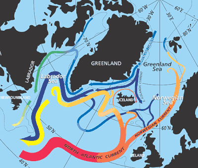 Image 105In the subpolar gyre of the North Atlantic warm subtropical waters are transformed into colder subpolar and polar waters. In the Labrador Sea this water flows back to the subtropical gyre. (from Atlantic Ocean)