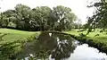 Pond at North Middlesex Golf Course