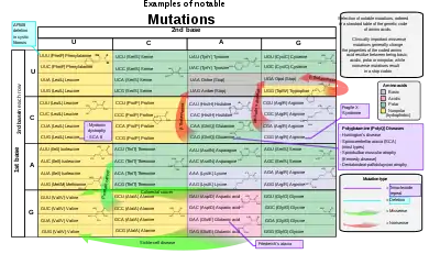 Image 24Selection of disease-causing mutations, in a standard table of the genetic code of amino acids (from Mutation)