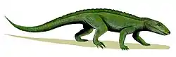 Notosuchus terrestris