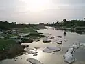 River Noyyal