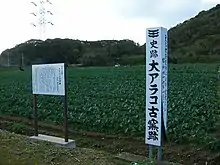 Ōarako Kiln ruins