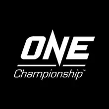 A poster or logo for 2017 in ONE Championship.