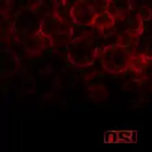 Faint, red blood droplets cover the top half of the otherwise black cover. The OSI logo, in red, is in the bottom right-hand corner.