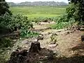 Garden view across Kawai Nui Marsh