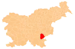 Location of the Municipality of Novo Mesto in Slovenia