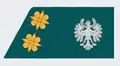 Oberleutnant (Tirol)(1st Lieutenant - Tyrol)